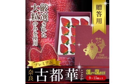 yޗǌz@Ós؁EƂ@嗱@1pbN(9`15)y1689690z