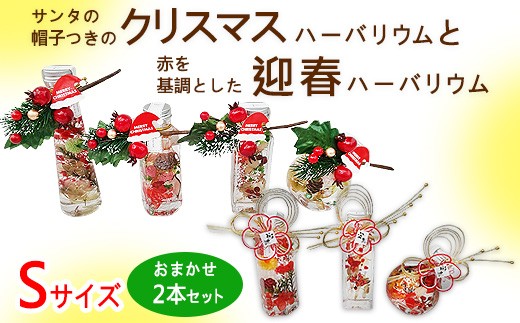 y򕌌szT^̖Xq̃NX}Xn[oEƐԂƂ}tn[oE@STCY܂2{Zbg b CeA A   Cxg ~ N₩ ӏ 