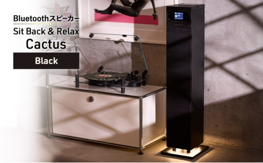 Sit Back ＆ Relax Cactus Black CD機能付きタワー型Bluetooth