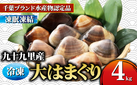 ytsz͂܂ 4kg TCY \㗢Y uԗⓀ  n}O VR t Nx  X`  O^  _V o` N`E_[ ݂ | ґ I 