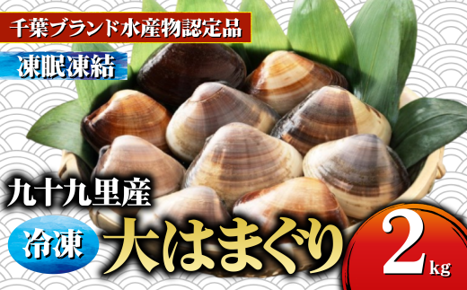 ytsz͂܂ 2kg TCY \㗢Y uԗⓀ  n}O VR t Nx  X`  O^  _V o` N`E_[ ݂ | ґ I 