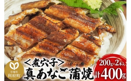 y{錧{z^Ȃāόq 400g ؍Y {錧 {