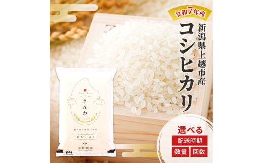 yVzszߘa7NY V zsY RVqJ  5kg 10kg 5L 10L   