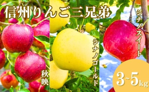 y쌧Ȏszy2026Ns\z񂲂Rlߍ킹 񂲎OZiHfEVimXC[gEVimS[hjv3kg/5kg | ь ΂ Hה Zbg Ȏs 쌧Y MB