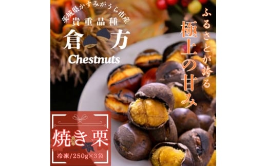 y錧z錧YÂQ!Mdiwqx̏ĂI@250g×3Zbg(Ⓚ)y1691399z