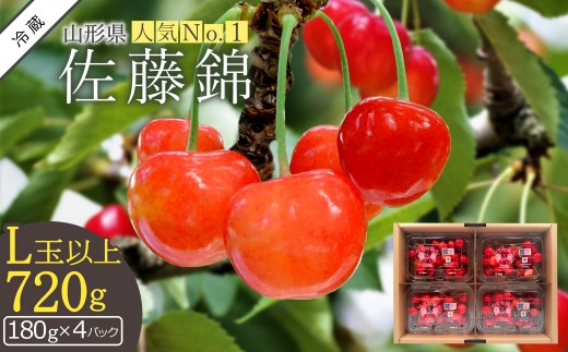 yR`szy2026Nzڍ720giLȏE180g×4pbNlj_H161(R8)