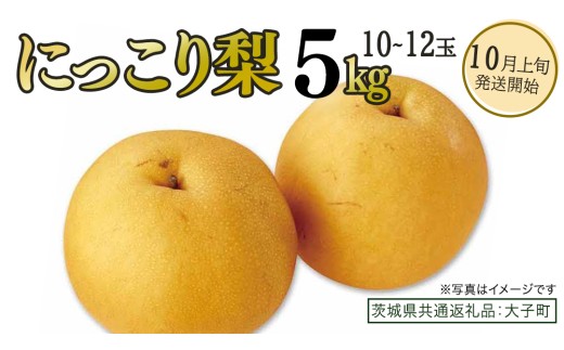 y錧vszɂ藜 5kg (10`12)y2026N10{Jnz(錧ʕԗiFq)  Ȃ ʕ  t[c ɂ