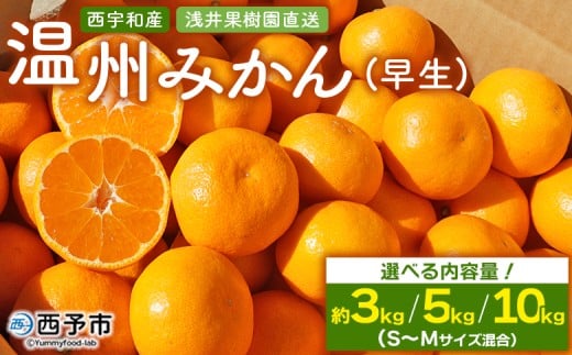 yQ\szs\ ʎ B݂ 3kg^5kg^10kgij k ʕ t[c ~J  IW 񂵂イ݂ EVE~J Iׂ Z Hׂĉ Yi