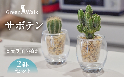 ymLszT{ẽ[ICgA 2ZbgyʋKXzCeA  O[ A ȒP S 킢 R  ϗtA Green Walk O[EH[N m L