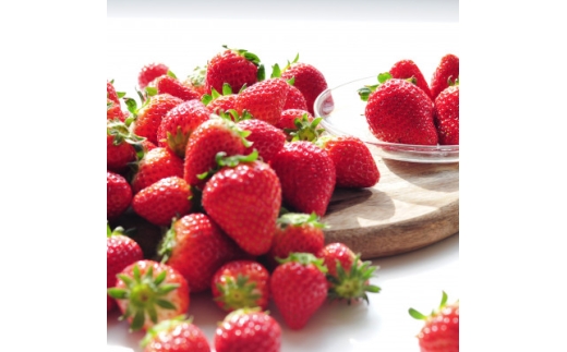 yȖ،szŒց2E3E4E7Ȗ؂̂2pbNƉẴWF[g!S4y4074074z