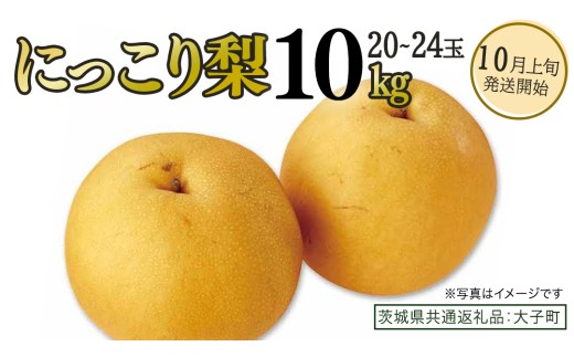 y錧vszɂ藜 10kg (20`24)y2026N10{Jnz(錧ʕԗiFq)  Ȃ ʕ  t[c ɂ