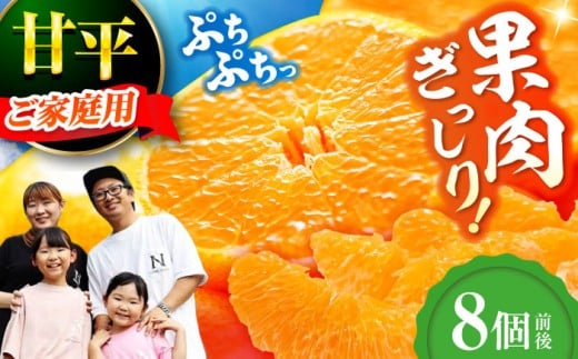 yQFszy󂠂zys\zy2026N2{珇zÕ 8Oyƒpz  ݂ ~J Ђ ؂ k QFs/_[AGDC004] 󂠂݂  