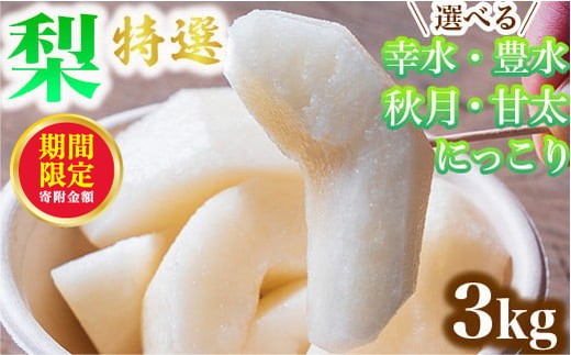 yȖ،Fs{sz_12܂ 񕍊z^yɂzyIׂz I 3kg W K L H Ñ ɂb Ȗ،Y ʕ t[c ws ւ̔zs