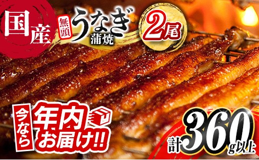 y{茧Vxz2025N12͂]!! Ȃ Vy Y  2 lC  v360gȏ  Ⓚ ȒP  V  i Mtg 蕨yB555-2512z