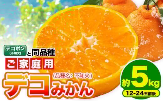 yF{kzsm fR݂ ( fR| Ɠi ) ƒp 󂠂 F{Y ( kY܂ )5kg (12-24ʑO) k s2026N2{-3oׁt ݂ t[c sm A 