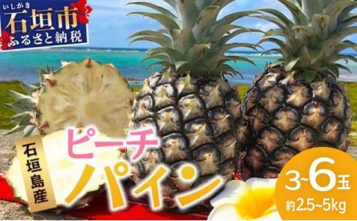 yꌧΊ_szys\zs2026N5{菇tΊ_Y s[`pC  2.5~5kg