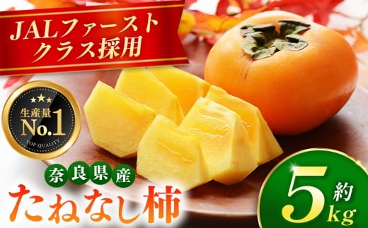 yޗǌܞszlC I JAL t@[XgNX ̗p  ˂Ȃ `  5kg  i 18`24 j  |  s[^[  t[c ʕ   JL ˂Ȃ 햳 Ȃ ޗǌ ܞs 