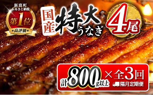 y{茧Vxzy15tIzʌ聄 Ȃ  Y V  4Zbg S3 uցi2026N1 3 5͂j1200g!! v2.4kgȏ  i Mtg EiM