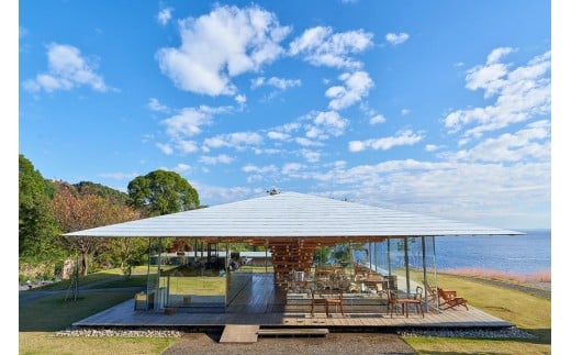 yÉMCszACAO FOREST yA`PbgilQlj