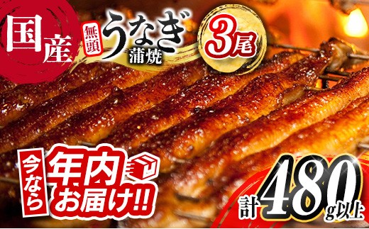 y{茧Vxz2025N12͂]!! Ȃ Vy Y  3 lC  v480gȏ  Ⓚ ȒP  V  i Mtg 蕨yC444-2512z