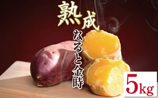 yzȂƋ 5kg 2LTCY  ܂ Ă   ȂƋ TC ₳ H VN { Yn  