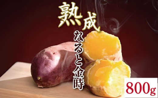 yzȂƋ 800g SSTCY  ܂ Ă   ȂƋ TC ₳ H VN { Yn  