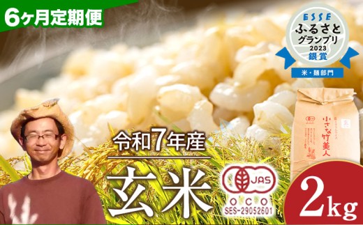 y|zy6ցzyL@JASFāzߘa7NY  Ȓ|l  2kg(2kg×1) ЃRt@[s\݌̗o׊Jnt st-p