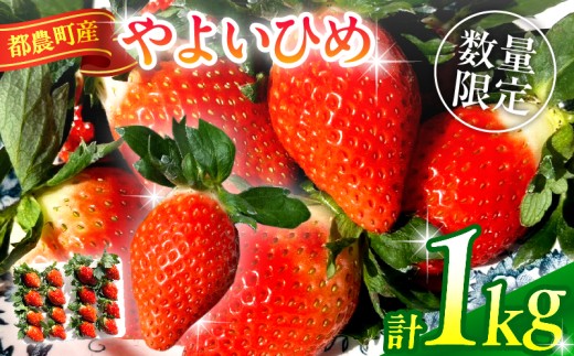 y{茧s_zs\s_Yu悢Ђ߁vv1kg t[c ʕ fU[g C`S Y_T059-002