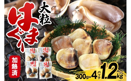 y錧sz錧Y 嗱͂܂ M 300g×4pbN Y ͂܂ n}O Y sv ȒP  z  LX̌Ii p Mtg 퉷 錧