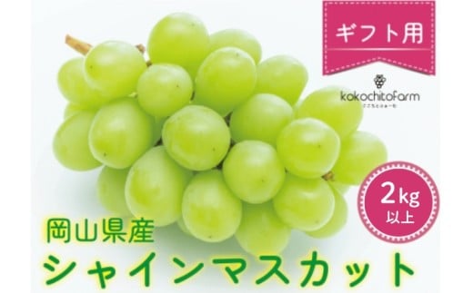 yR^szy2026Ns\z Ƃӂ[ yMtgz RY VC}XJbg 3`5[ 2kgȏ ykoko004-02z