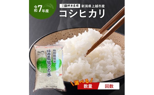 yVzszVė\ ߘa7N VY RVqJ ʍ͔| f 5kg 10kg 15kg 5L 10L 15L V     zs zY  