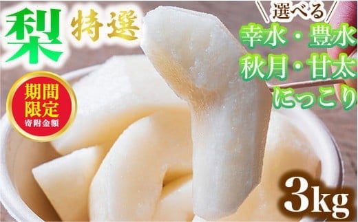 yȖ،Fs{sz_12܂ 񕍊z^yIׂz I 3kg W K L H Ñ ɂb Ȗ،Y ʕ t[c  ws ւ̔zs