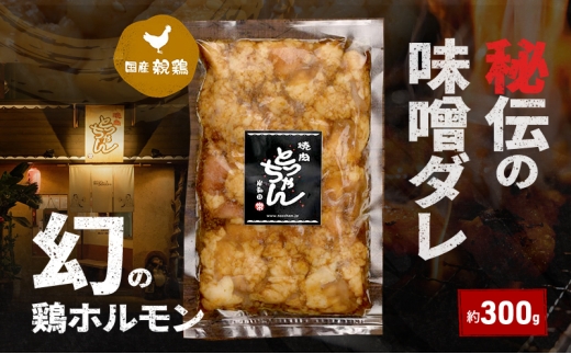 y{ݘacsz`̖X_̌{z300g | { {  ē BBQ o[xL[ AEghA  Y  [5385-1205]