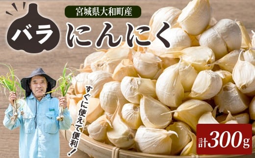 y{錧azIoɂɂ 300g ɂɂ jjN K[bN ZЎ ΂ zCg ܂ N Hi  Yn {錧 a yЃt@[nzta593