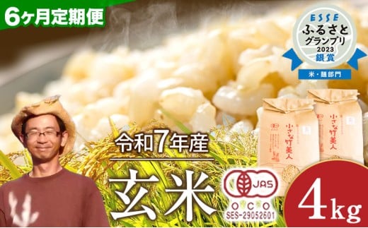 y|zy6ցzyL@JASFāzߘa7NY Ȓ|l  4kg(2kg×2) ЃRt@[s\݌̗o׊Jnt st-p