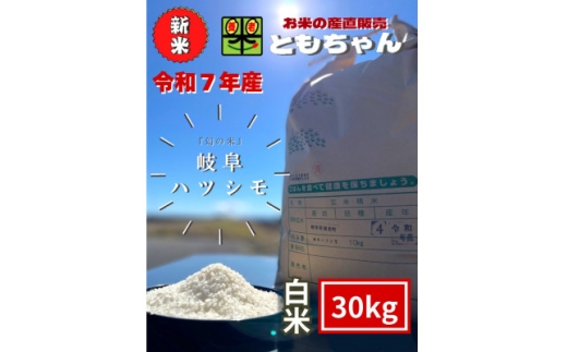 y򕌌{Vzߘa7NY@򕌃ncVSL@ā@30kgy1690560z