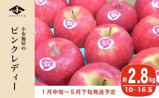 冬春が旬の希少なりんご ピンクレディー 約2.8kg 10～16玉［小布施屋