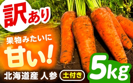 訳あり】 北海道 にんじん 5kg （土付き）《足寄町》【えとりファーム