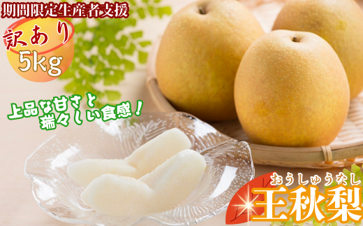 y挧zyԌ萶YҎxzy󂠂zH 5kg