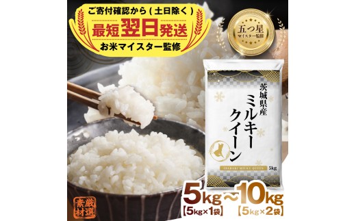 y錧΂݂炢szy ŒZ  z _ Iׂe ^ y ߘa7NY z 錧Y ~L[NC[ 5kg 10kg ܂ ă}CX^[ ďC Ђ Y  R   