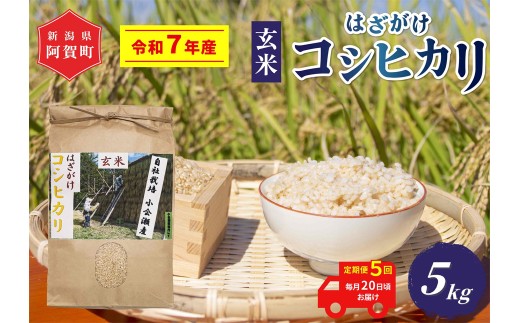 yV꒬zsߘa7NYātyցz5@z㉜Y͂iVjRVqJ@5kgi1܁j