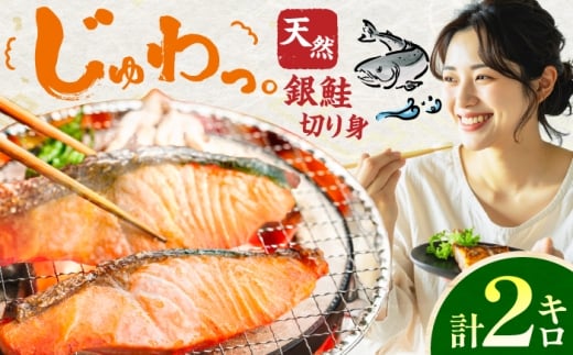 yL쒬z@؂g@2kg@L쒬 / ЃC[t@Ng[ [AFBS026]