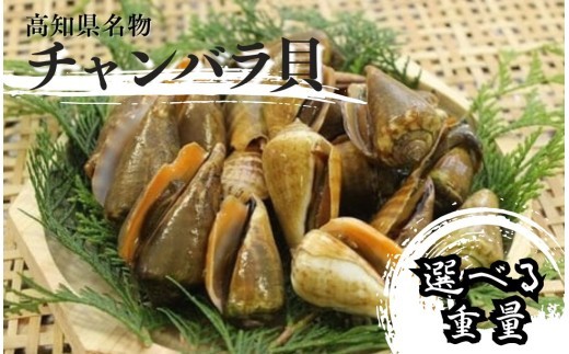 ymmzS250ymz`oL gIׂ遄yGߌE؂ꎟIz