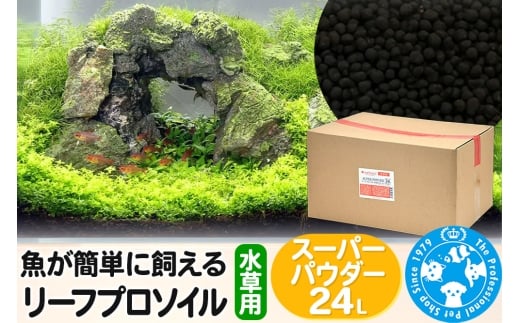 yQnWyz\C ȒPɎ [tv\C p X[p[pE_[ 24Li8L×3܁j Ѓ`[ charm