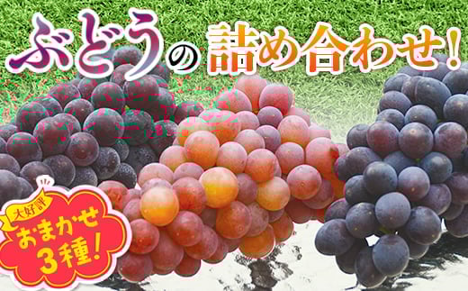 y{͓szy2026N6{`zԂǂ 3 lߍ킹  IWiԂǂ IWii܂ ܂ 3Ԃǂ lߍ킹IÔAɂĂ