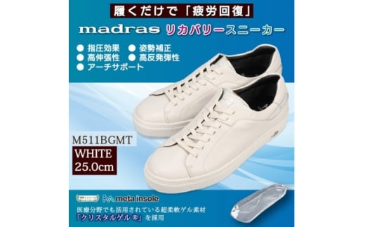 ymzŁwJmadrasJo[V[Yw  M511BGMTzCg 25.0cmy1616758z