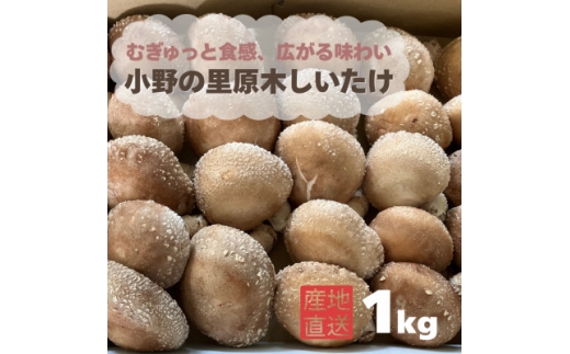 y쒬zނƐG L閡킢 ̗u؂v1kgy1690354z