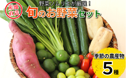 ysz{̃GVJ_Y 5Zbg  ܂ VN ̂ꂽ Yn ₳ Ƃ낱 g}g _ ̂ IN ʂ˂  s