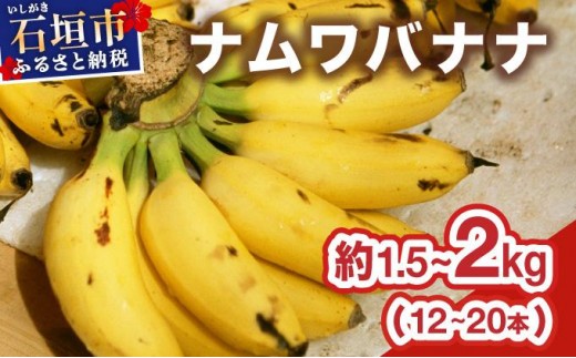 yꌧΊ_sz2026N4`10 Ί_Y 󏭂ȍYwioiixґ1[ۂƖ1.5-2kgi12-20{j TF-102_R8