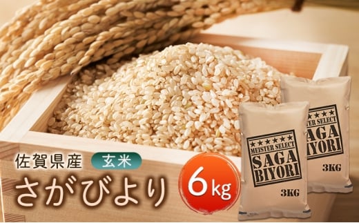 yꌧsz т 6kg (3kg×2) ܂ă}CX^[II   zsF